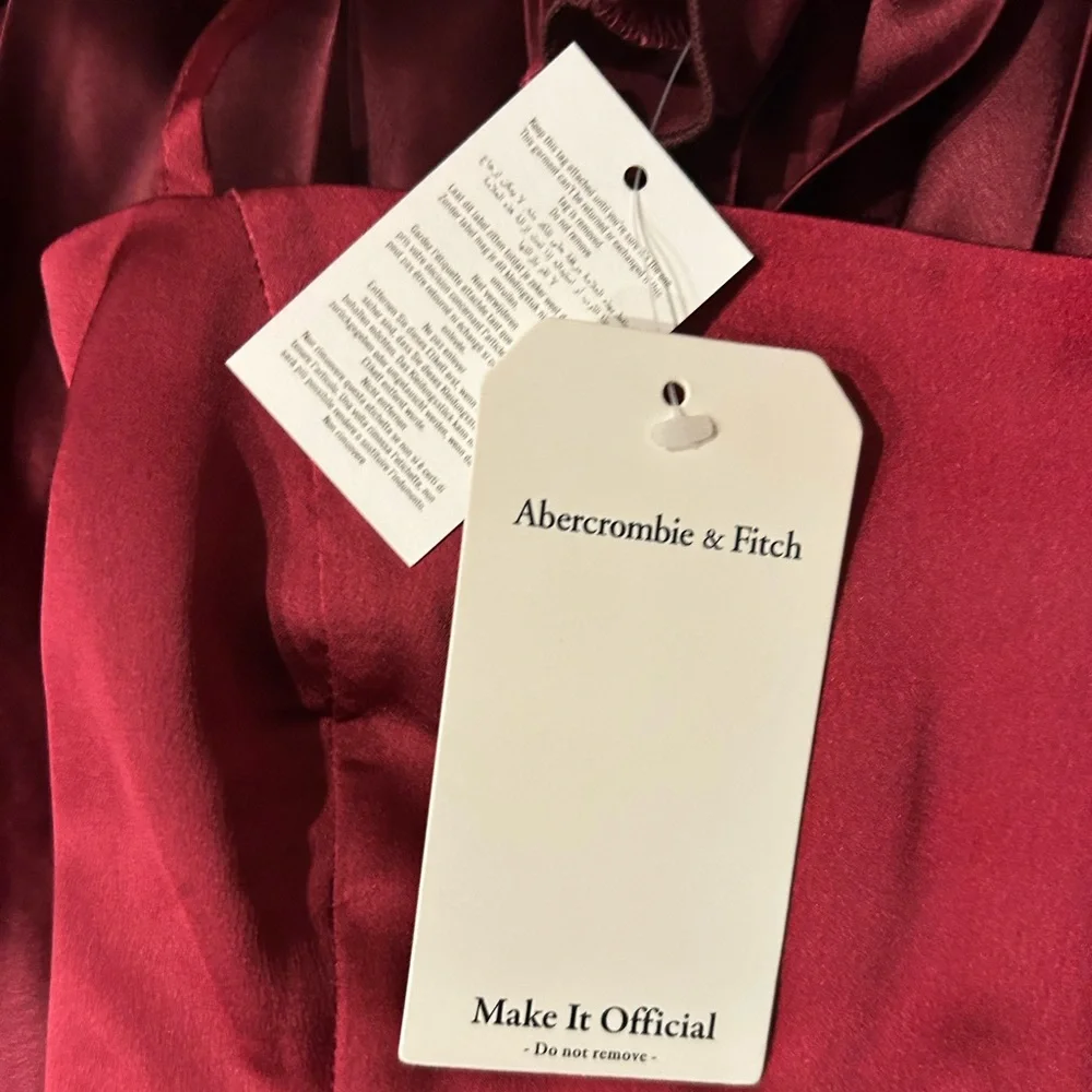 The A&F Giselle Clasp-Back Pleated Midi Dress NWT size XSP - Picture 9 of 9